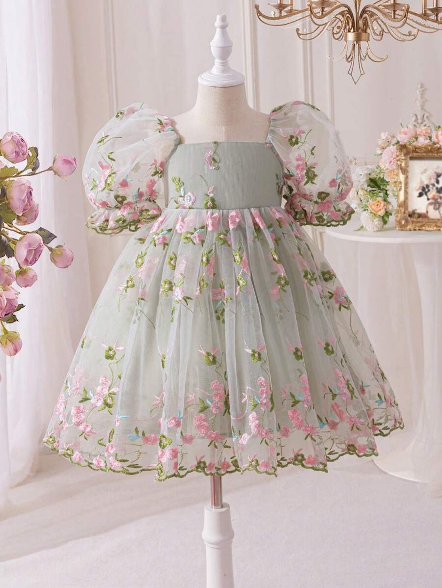 Embroidered Net Puff Sleeve Dress