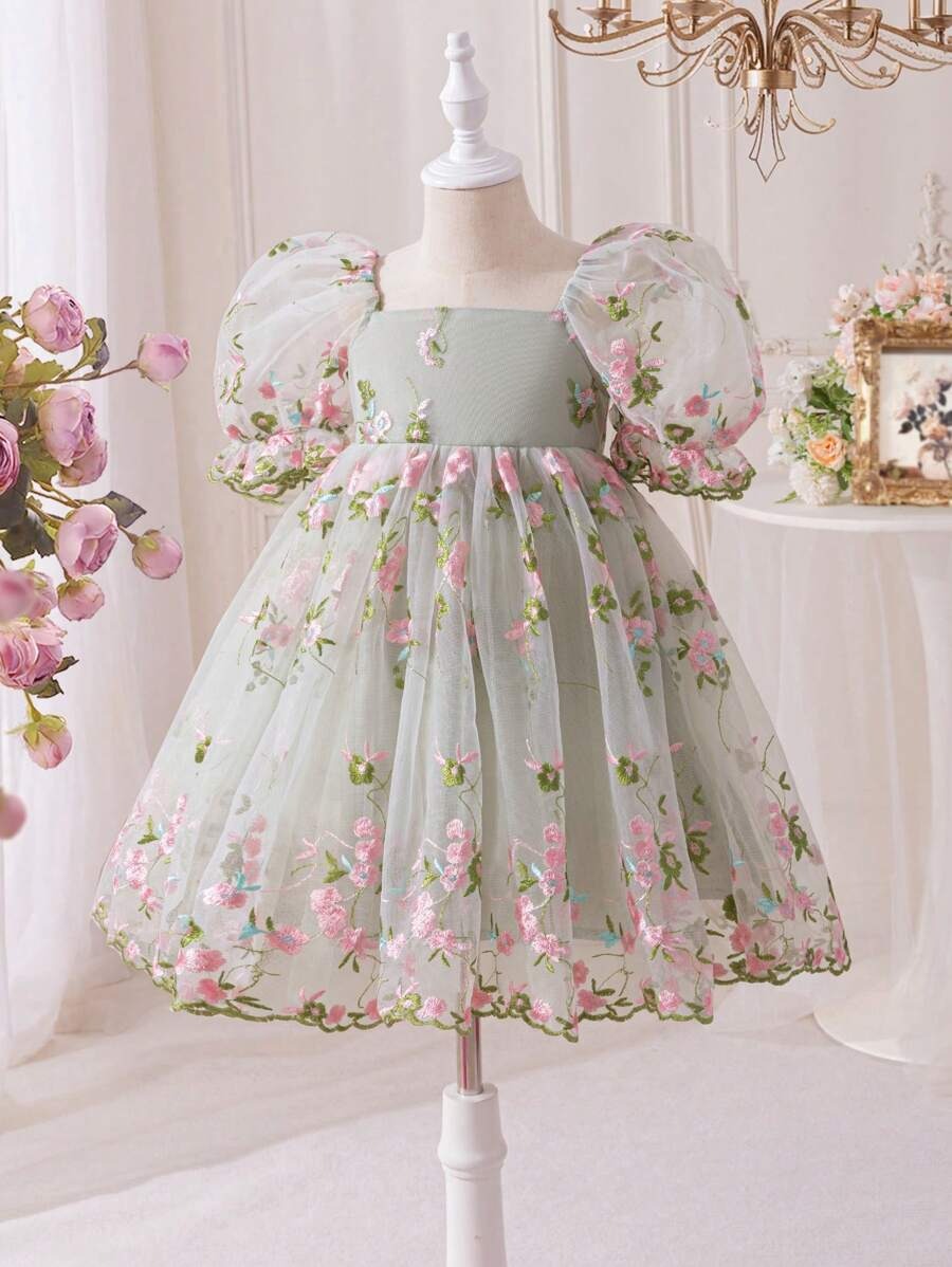 Embroidered Net Puff Sleeve Dress