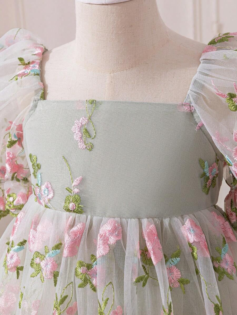 Embroidered Net Puff Sleeve Dress