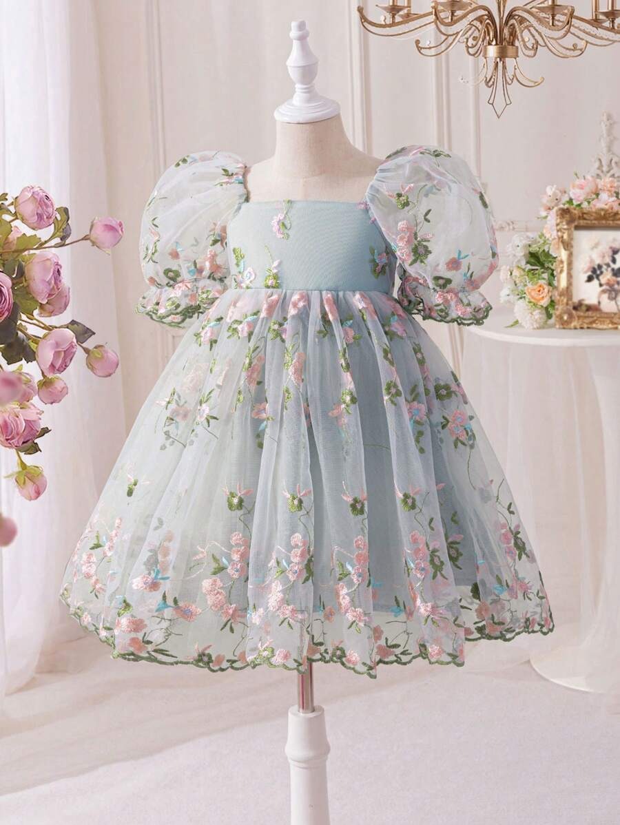 Embroidered Net Puff Sleeve Dress