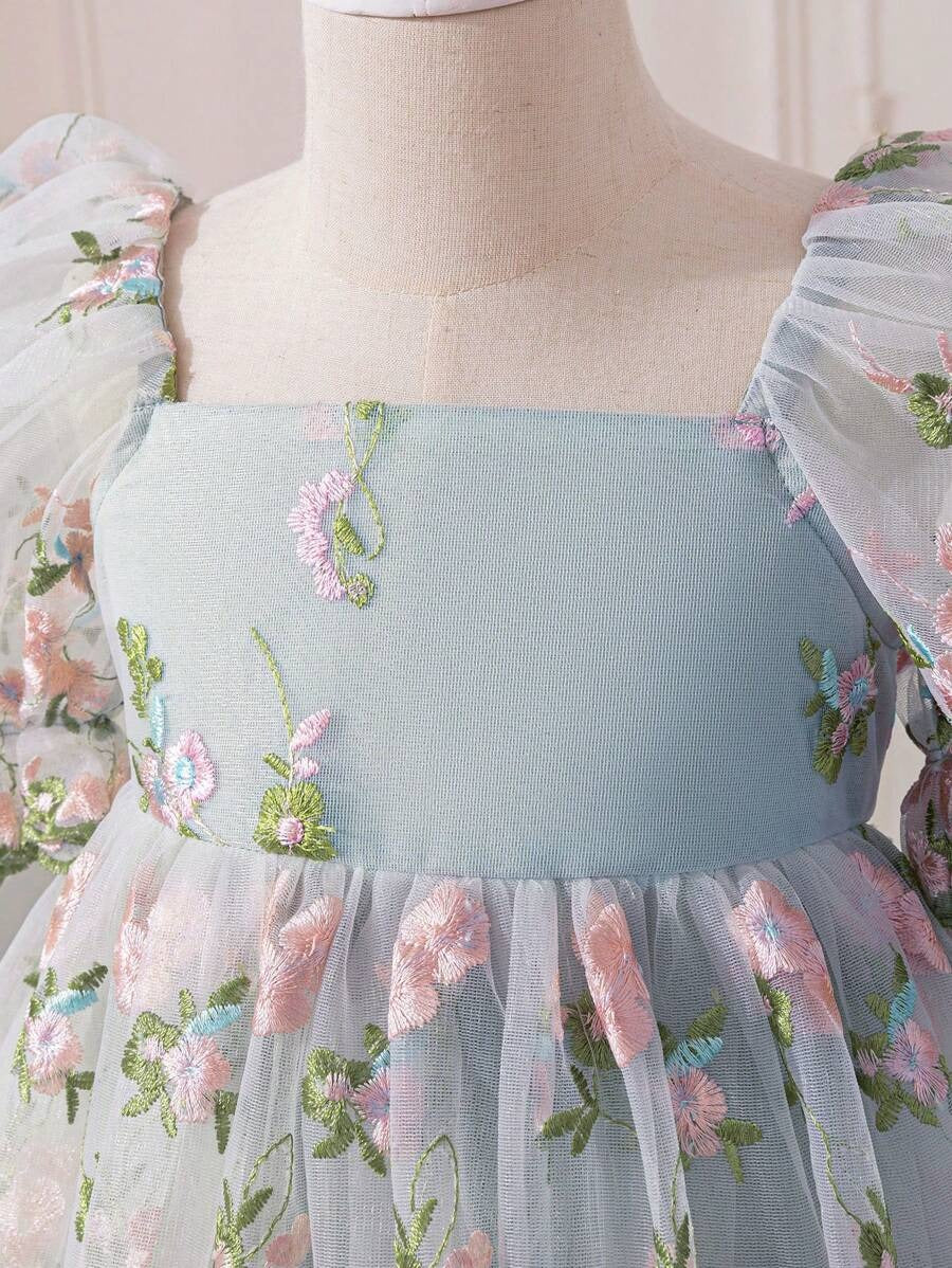 Embroidered Net Puff Sleeve Dress