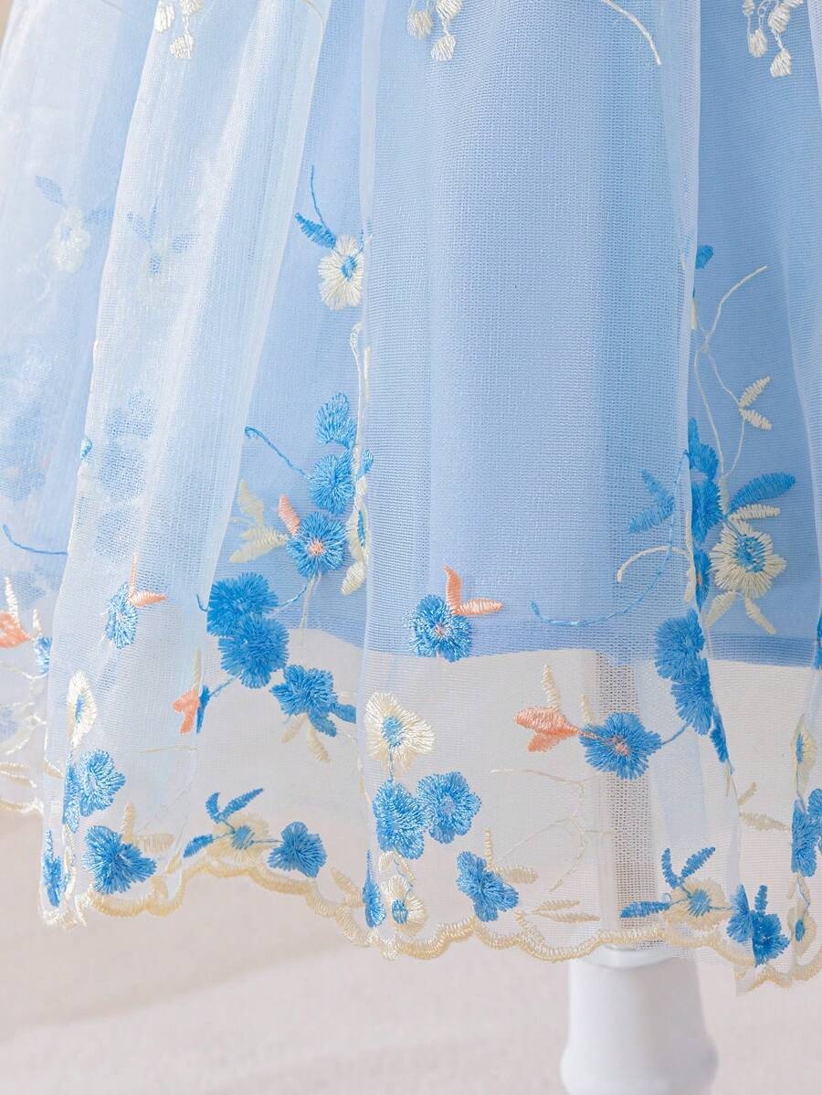 Embroidered Net Puff Sleeve Dress