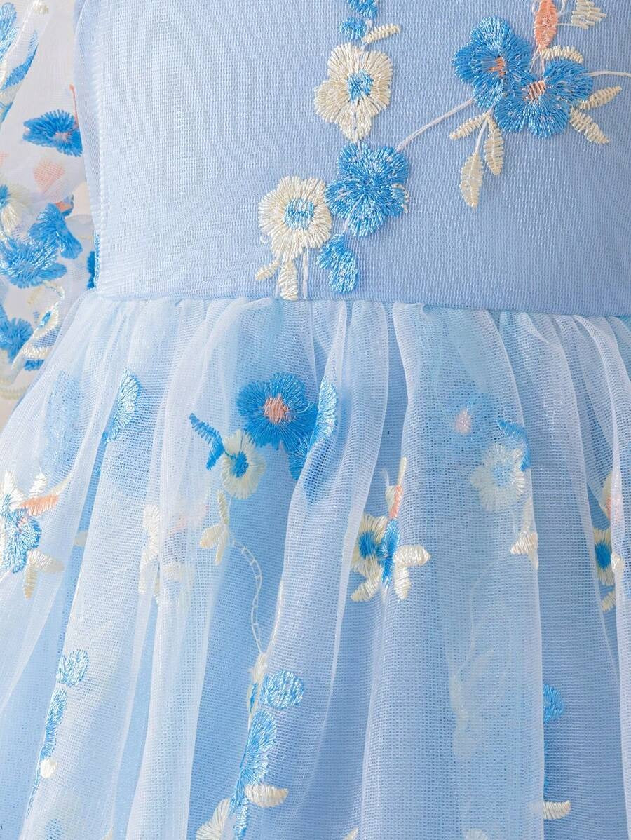 Embroidered Net Puff Sleeve Dress