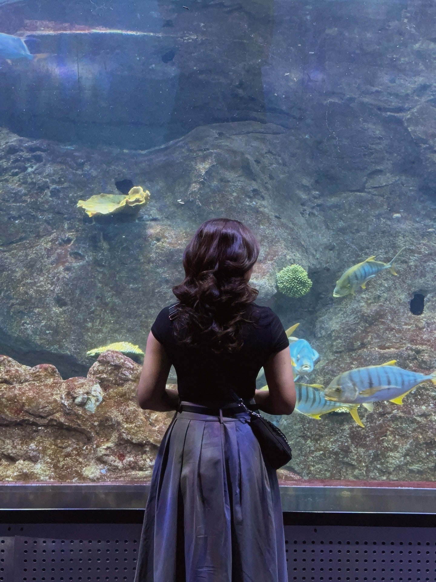 Areeka Haq High-Waist Pleated Khaki Maxi Skirt